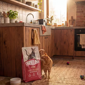 Супер премиум беззърнена суха храна за кастрирани котки Carnilove ACTIVE Duck & Pheasant с 26 % прясно патешко и фазаново месо 400гр